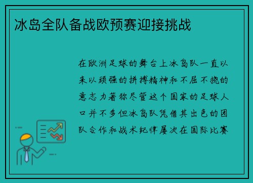 冰岛全队备战欧预赛迎接挑战