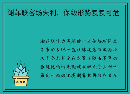 谢菲联客场失利，保级形势岌岌可危