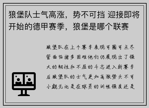 狼堡队士气高涨，势不可挡 迎接即将开始的德甲赛季，狼堡是哪个联赛