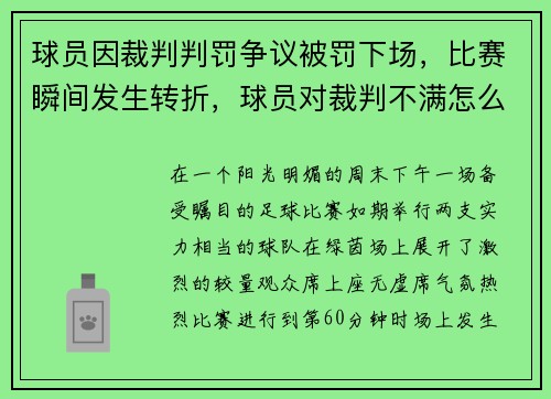 球员因裁判判罚争议被罚下场，比赛瞬间发生转折，球员对裁判不满怎么办